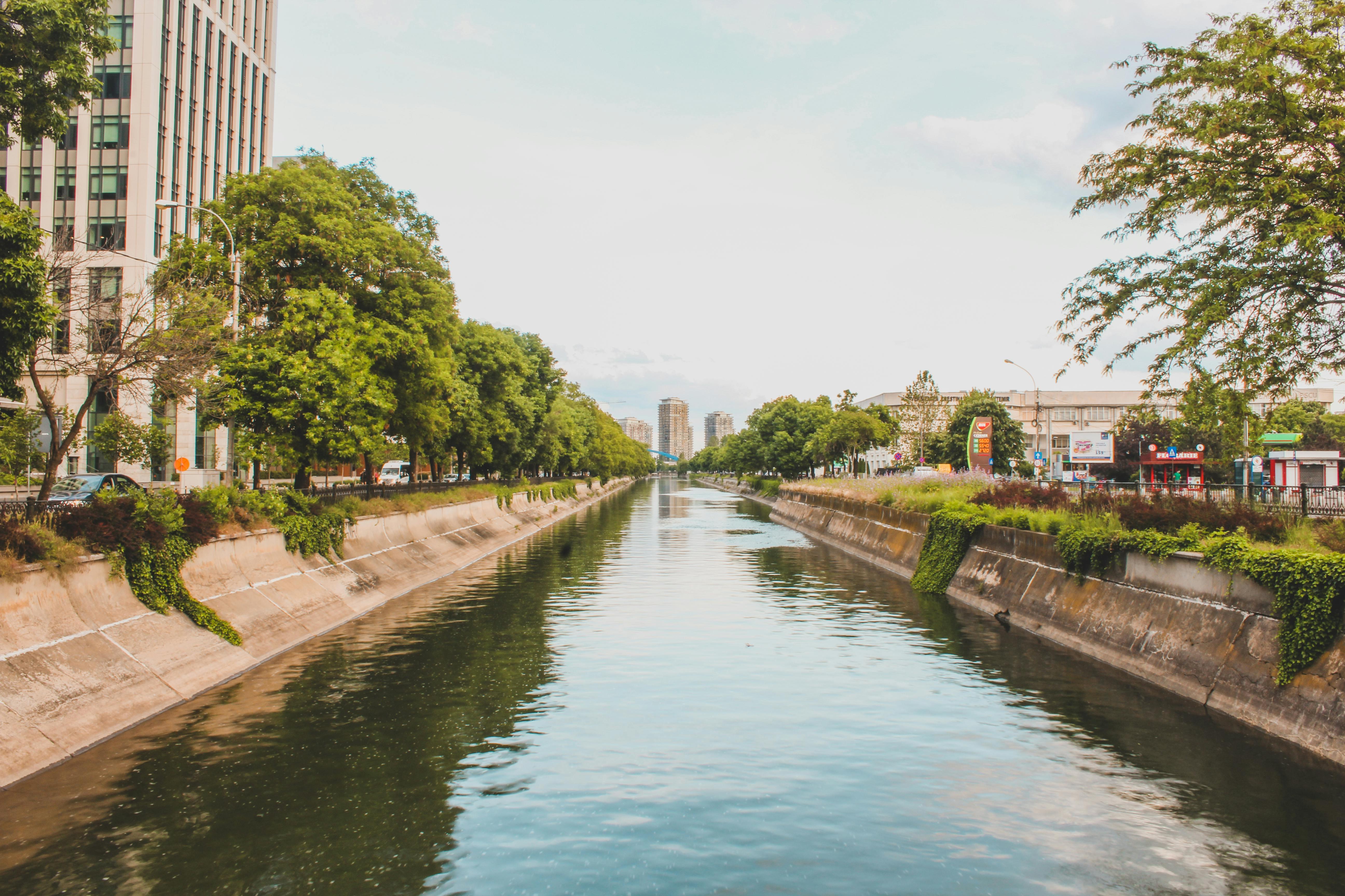 Mosilor Apartments Bucarest