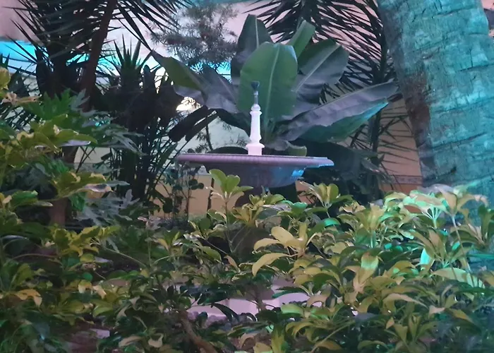 Marino Tenerife Arona 