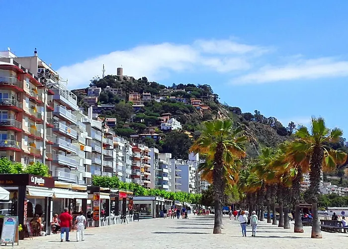 Bed and Breakfast Pins Tordus Blanes