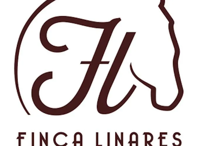 Hotel Casa Iulia Haro