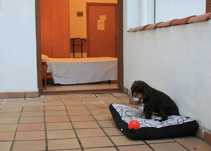 Hostal Sant Bernat Olot
