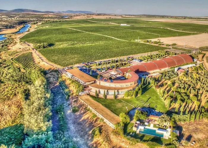 Hotel Bodega Pago del Vicario Ciudad Real