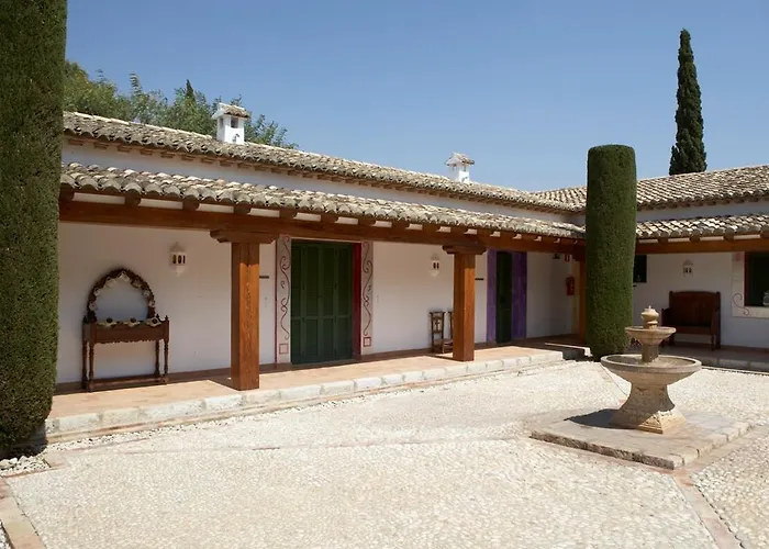 Sh Mas De Canicatti Oliva
